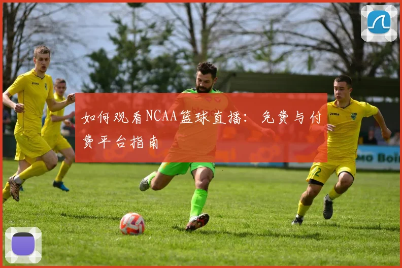 如何观看NCAA篮球直播：免费与付费平台指南