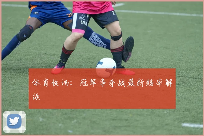 体育快讯：冠军争夺战最新赔率解读