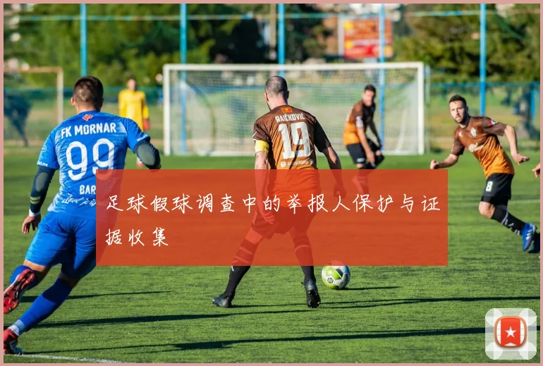 足球假球调查中的举报人保护与证据收集