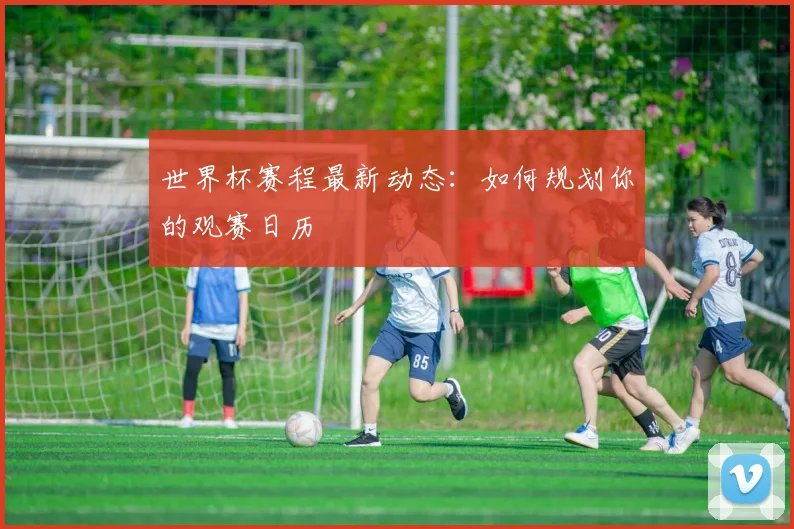 世界杯赛程最新动态：如何规划你的观赛日历