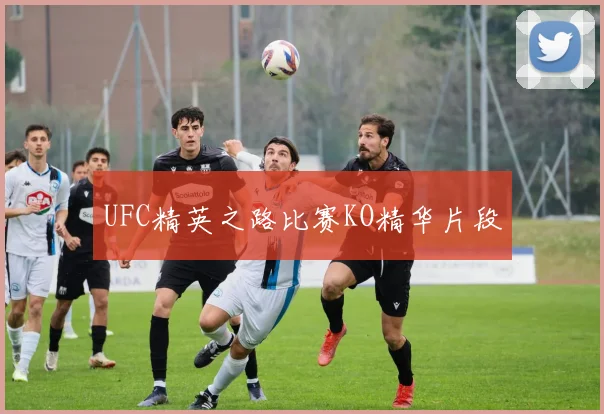 UFC精英之路比赛KO精华片段