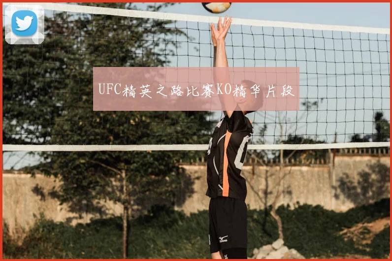 UFC精英之路比赛KO精华片段