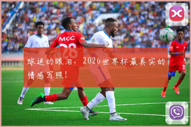 球迷的眼泪，2026世界杯最真实的情感写照！