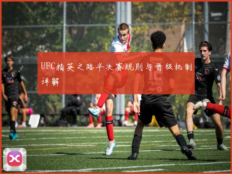 UFC精英之路半决赛规则与晋级机制详解