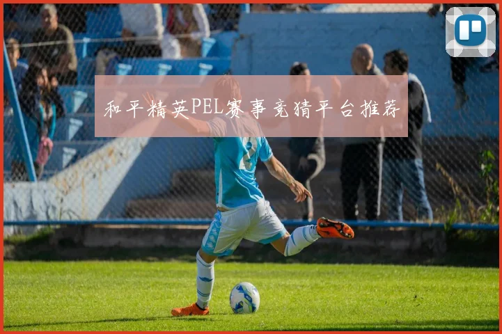 和平精英PEL赛事竞猜平台推荐